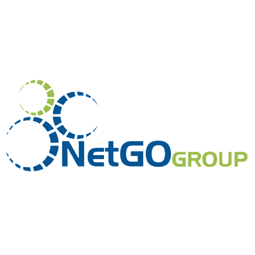 NETGO GROUP S  de RL