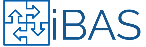 IBAS Software Development Services