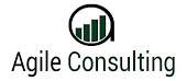 Agile Consultant Group