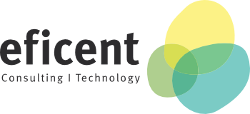 Eficent Business and IT Consulting Services, LLC