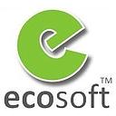 Ecosoft Co  LTD